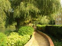 DSCN1064 (Medium).JPG