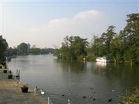DSCN1073 (Medium).JPG