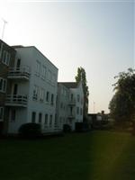 DSCN1083 (Medium).JPG