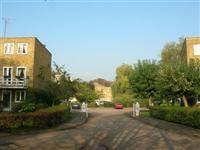 DSCN1090 (Medium).JPG