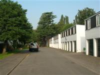DSCN1101 (Medium).JPG