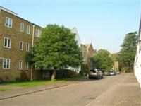 DSCN1103 (Medium).JPG