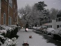 DSCN1523 (Medium).JPG