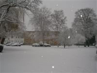 DSCN1526 (Medium).JPG