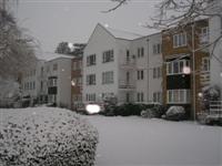 DSCN1528 (Medium).JPG