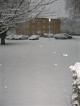 DSCN1530 (Medium).JPG