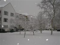 DSCN1542 (Medium).JPG