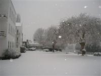 DSCN1543 (Medium).JPG