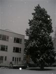 DSCN1545 (Medium).JPG