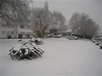 DSCN1548 (Medium).JPG