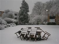 DSCN1550 (Medium).JPG