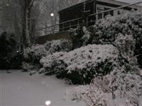 DSCN1558 (Medium).JPG