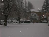 DSCN1560 (Medium).JPG