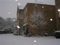 DSCN1563 (Medium).JPG