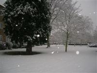DSCN1564 (Medium).JPG