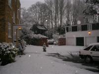 DSCN1565 (Medium).JPG