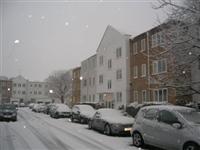 DSCN1567 (Medium).JPG