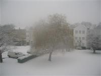 DSCN1568 (Medium).JPG