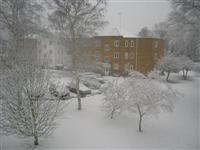DSCN1570 (Medium).JPG