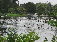 IMG_1338(Medium).jpg