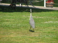 IMG_0721.JPG