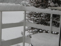 IMG_2356.JPG