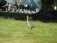 IMG_0708.JPG