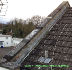 RoofWorks1.0std.jpg