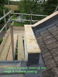 RoofWorks1.1std.jpg